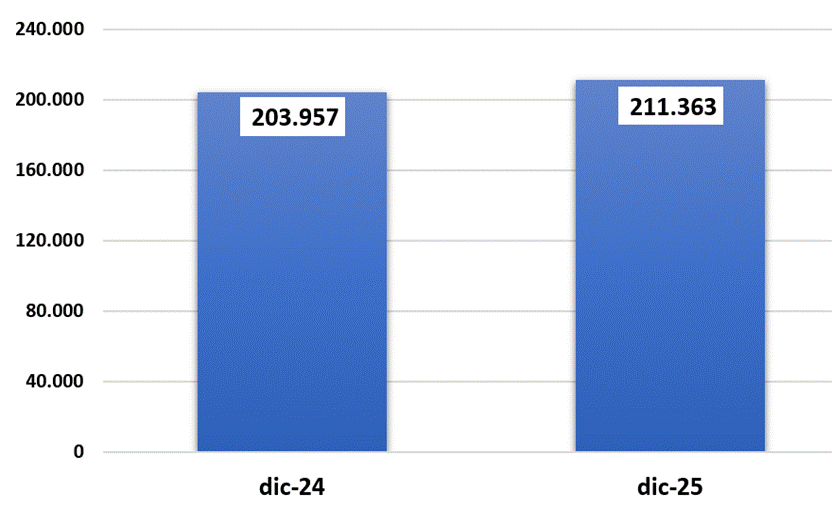 Gráfico de barras con el saldo de la cartera de crédito. Año 2024 203.957. Año 2025: 211.363.